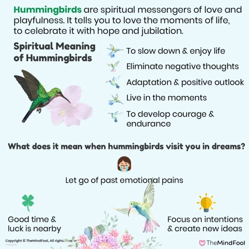 Interpreting Hummingbird Dreams