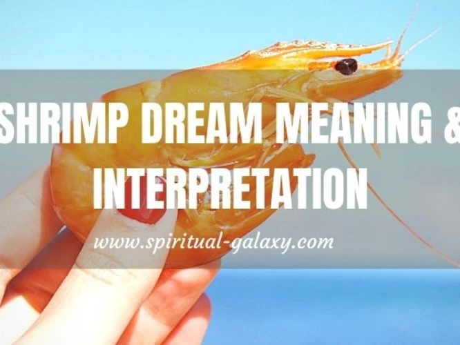 Interpreting Shrimp Dreams