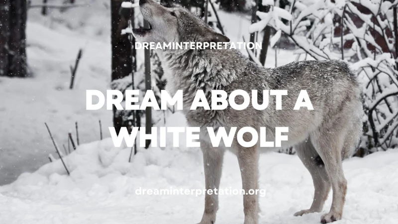 Interpreting The Spiritual Meanings Of The White Wolf