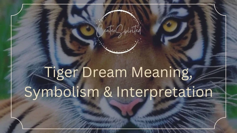 Interpreting Tiger Attacks In Dreams