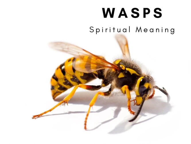 Interpreting Wasps In Dreams