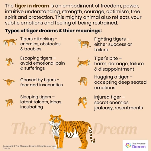 Meaning Of Tigers In Dreams