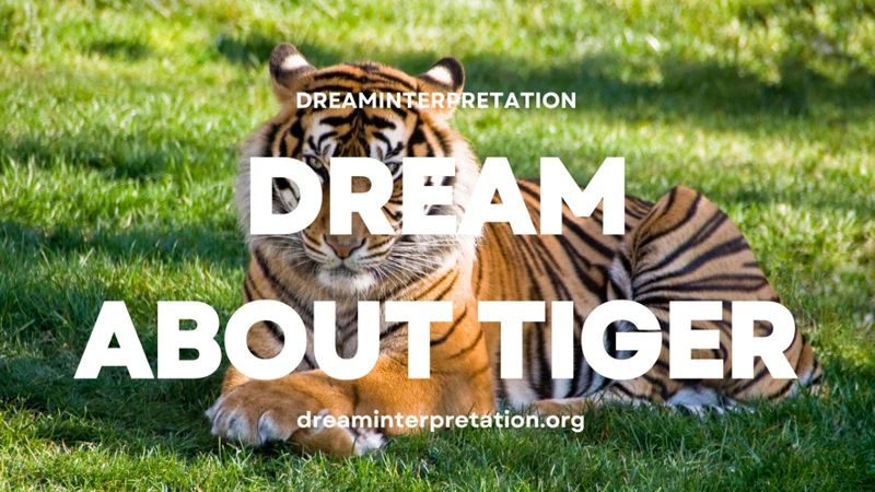 Psychological Analysis Of Dreams About Tiger Attacks