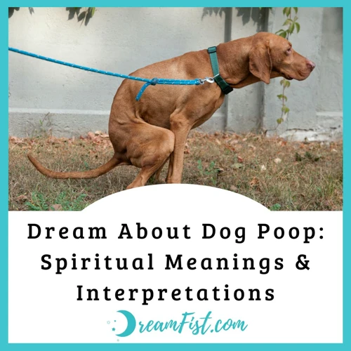 Psychological Interpretations Of Dog Poop Dreams
