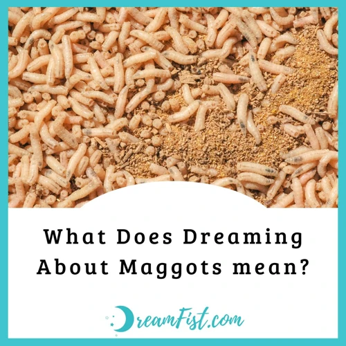 Psychological Perspectives On Maggots In Dreams