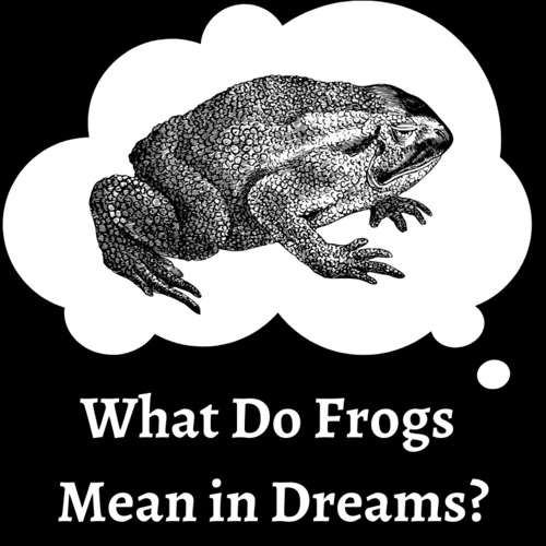 Section 1: Frog As A Symbol