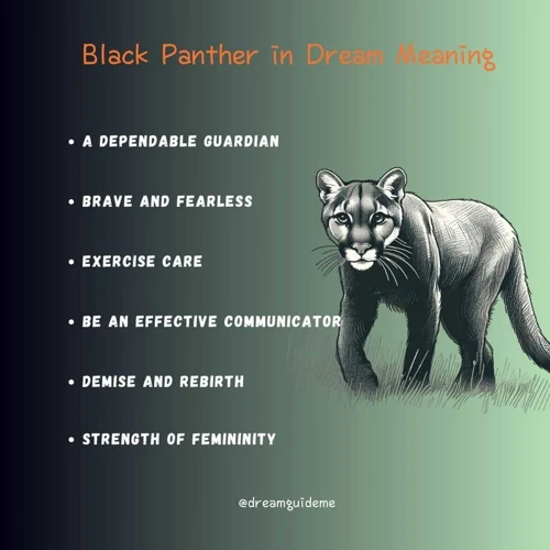 Spiritual Symbolism Of Black Panthers