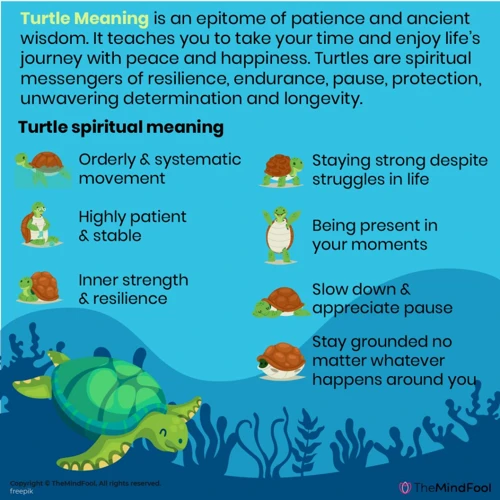 Symbolic Meanings Of Turtles