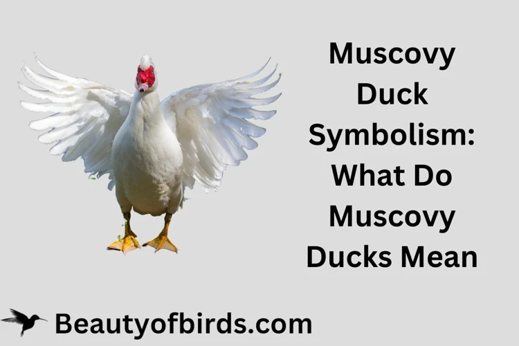 Symbolism Of Ducks