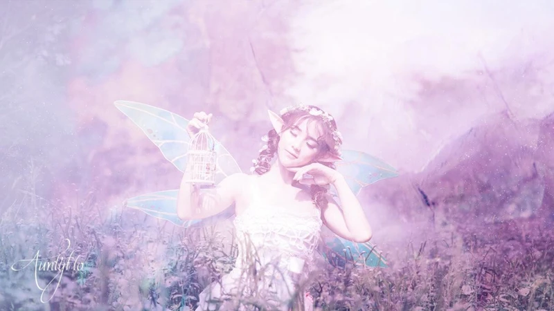 The Different Types Of Fairy Dreams