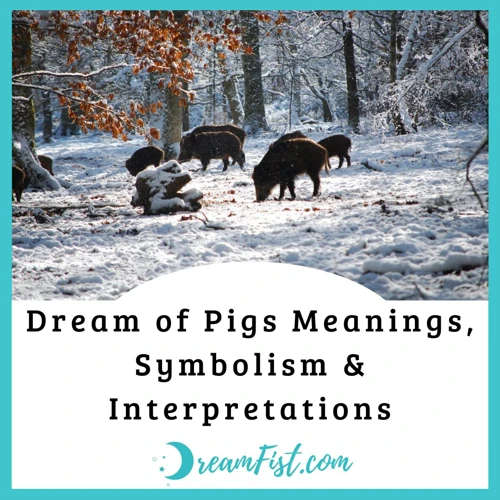 The Emotional And Psychological Aspects Of Pig Dreams