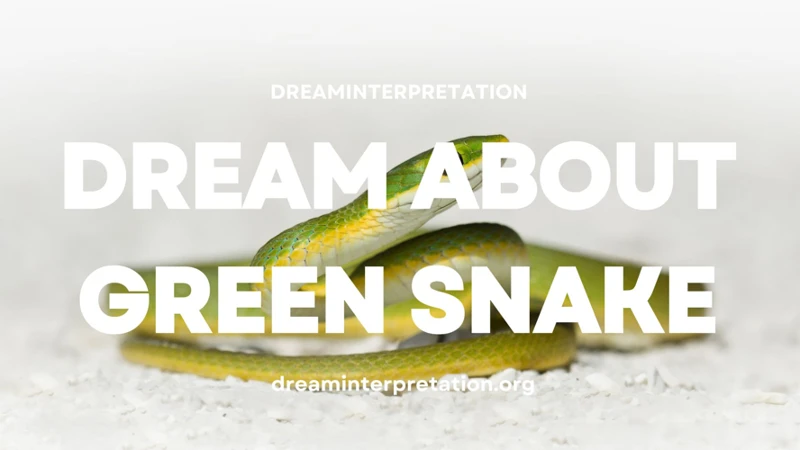 The Significance Of A Green Snake