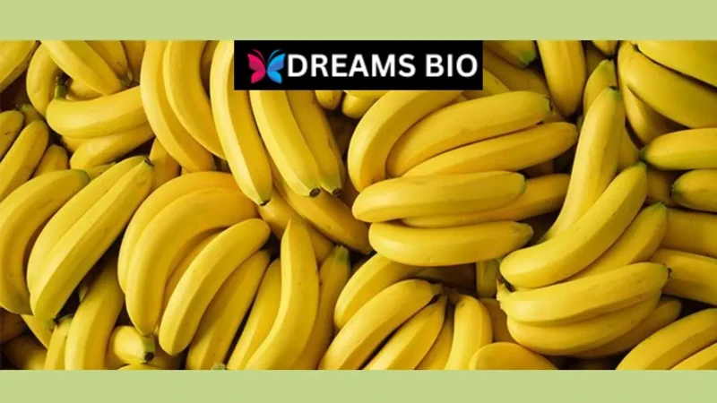 The Symbolic Meaning Of Bananas