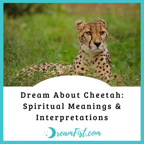 The Symbolic Meaning Of Cheetah