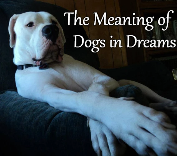 The Symbolic Meaning Of Dogs In Dreams