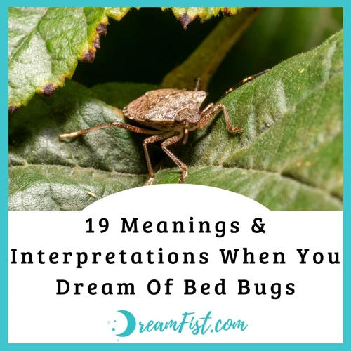The Symbolism Of Bed Bugs In Dreams