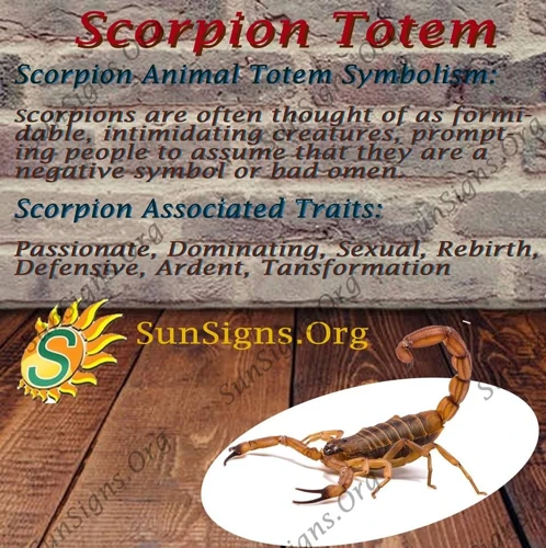 The Symbolism Of Scorpions
