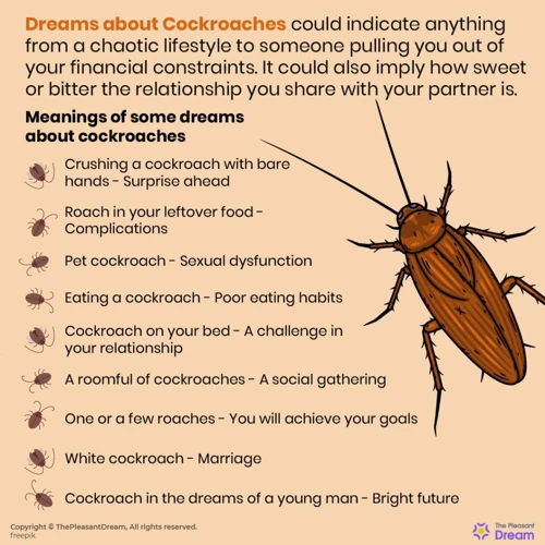 Understanding Cockroach Symbolism