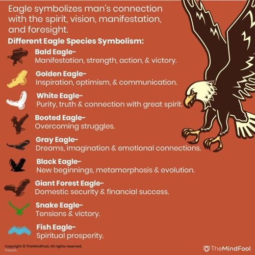 Understanding The Bald Eagle Symbol