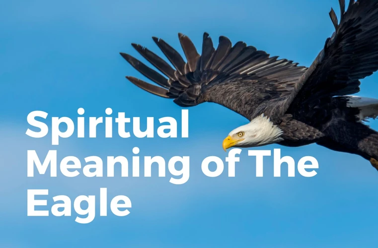 Unveiling The Meanings Behind Bald Eagle Dreams