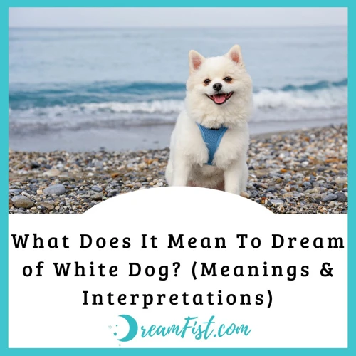 What Does A White Dog Symbolize?